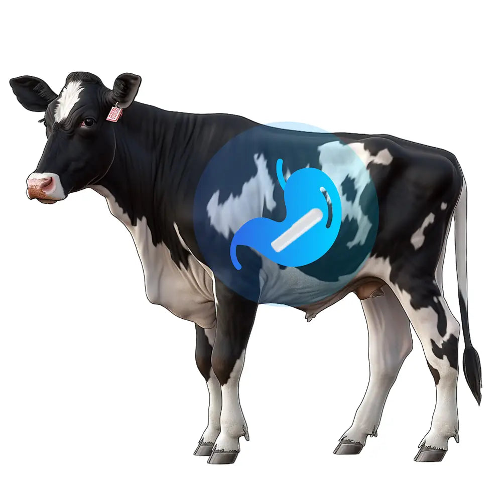 HKT-RBC100 • LoRaWAN Rumen Bio-Capsule